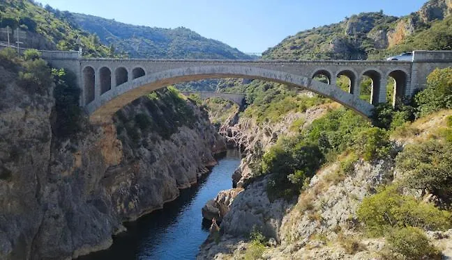 Le Cocon Du